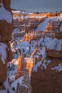 Het wintersprookje dat Bryce Canyon heet