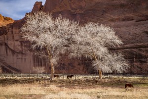 Magisch Canyon de Chelly